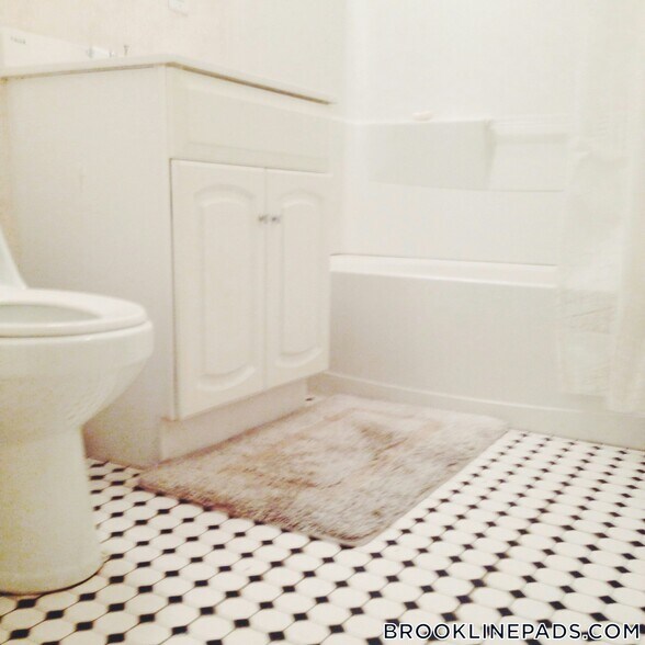 Building Photo - 62 Egmont St