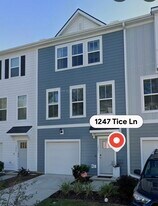Building Photo - 1247 Tice Ln