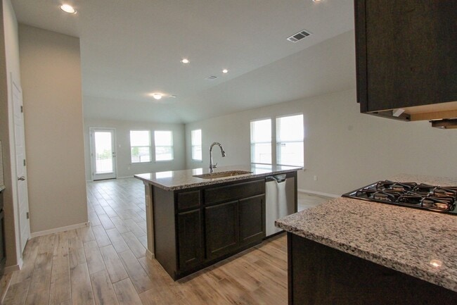 Building Photo - Newly Built 3 Bedroom, 2 Bath Home in Leander