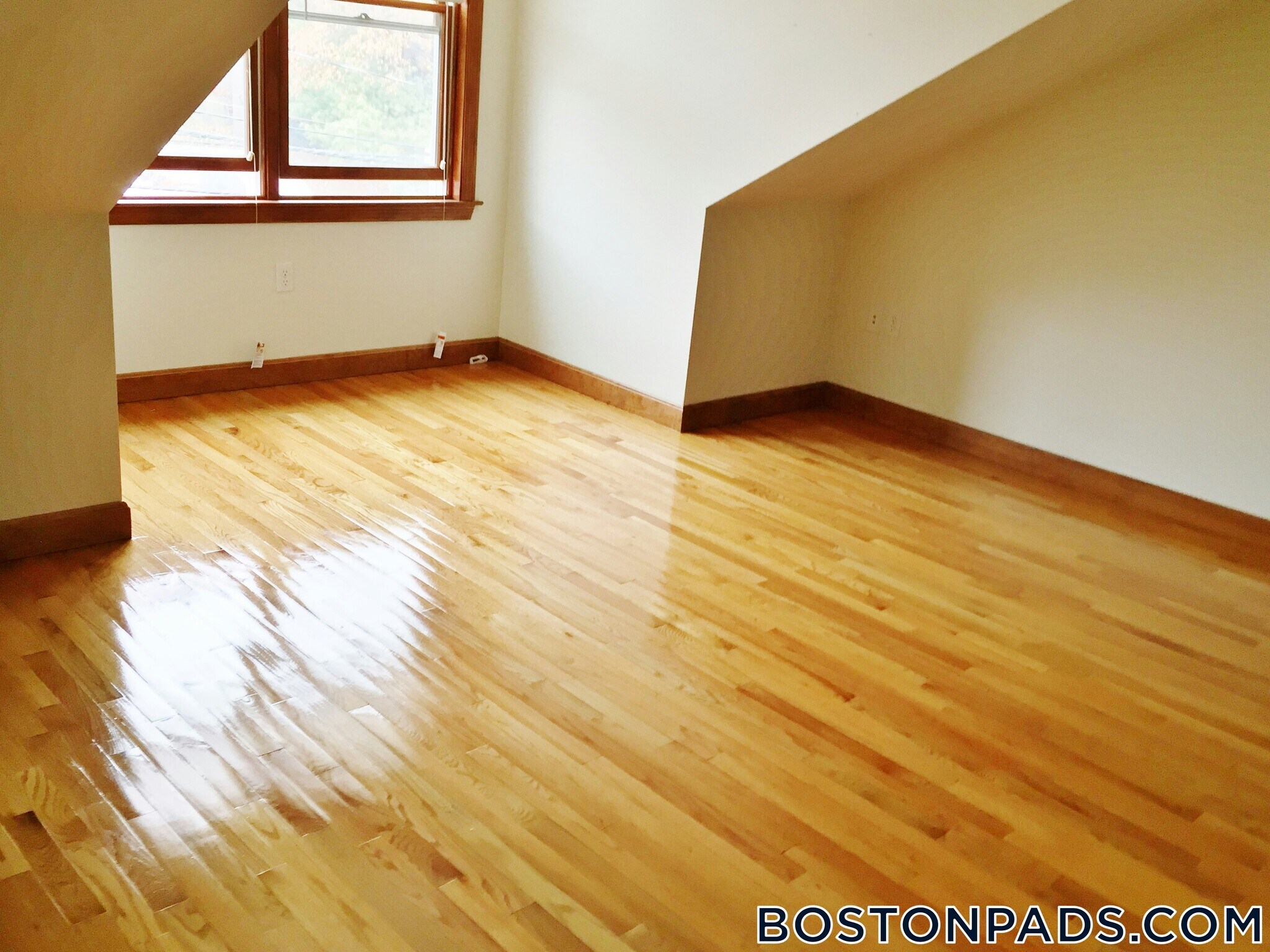 Building Photo - 102 Allston St