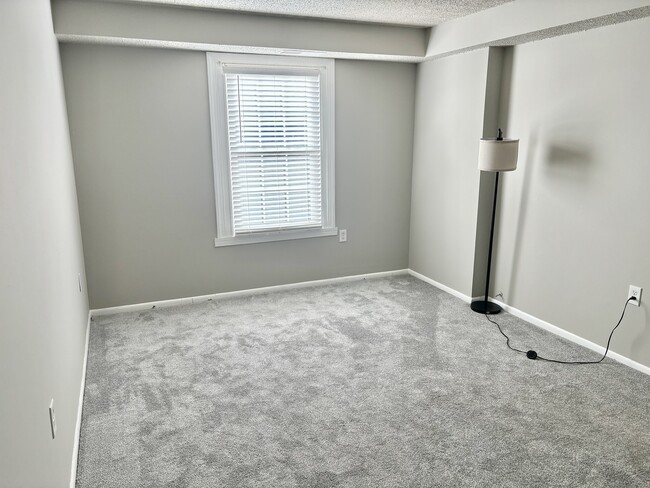 Cozy and spacious bedroom with plenty of light - 3801 Swann Rd