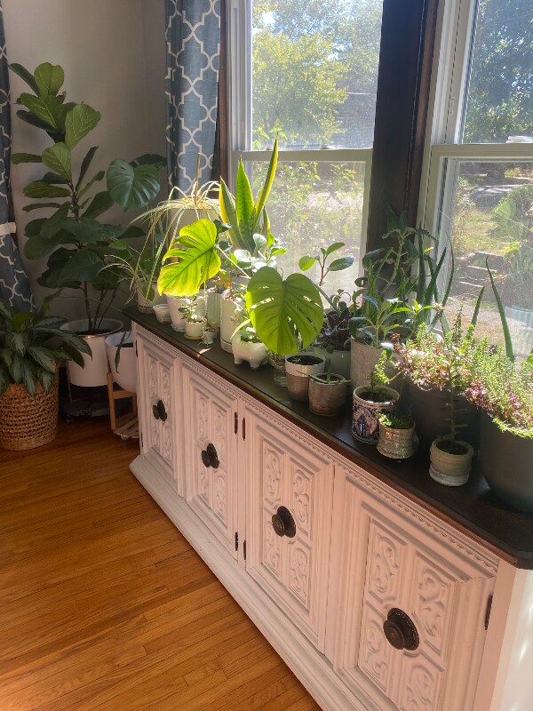 Building Photo - 418 Paris Ave