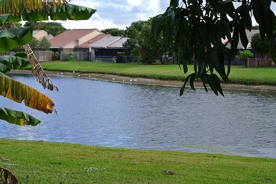 Building Photo - 6224 Country Fair Cir