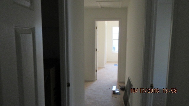 Building Photo - 113 Amelia Ct