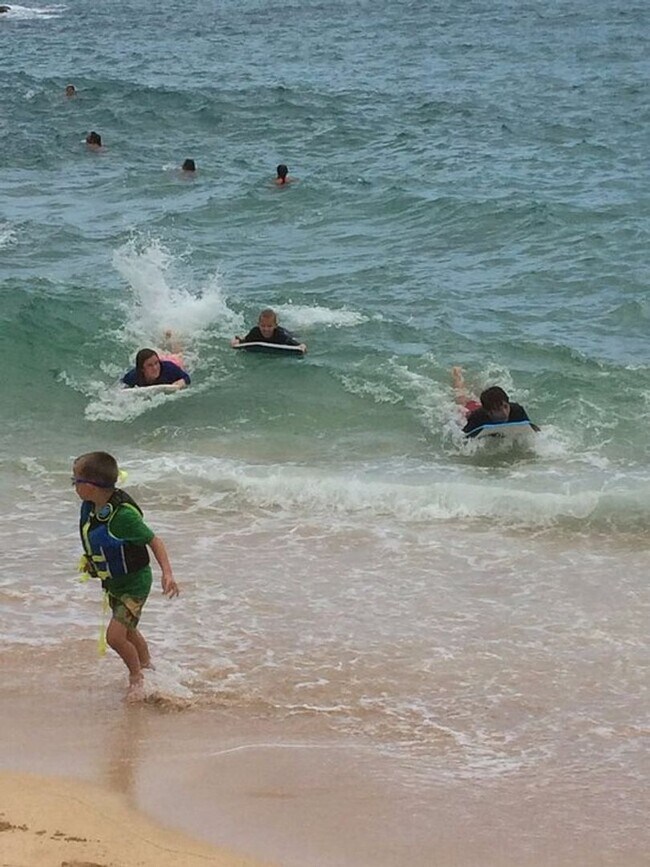 Building Photo - 3 Bed/2 Bath Laie Home with big yard and bonus space