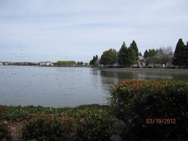 Building Photo - 206 Mendocino Way