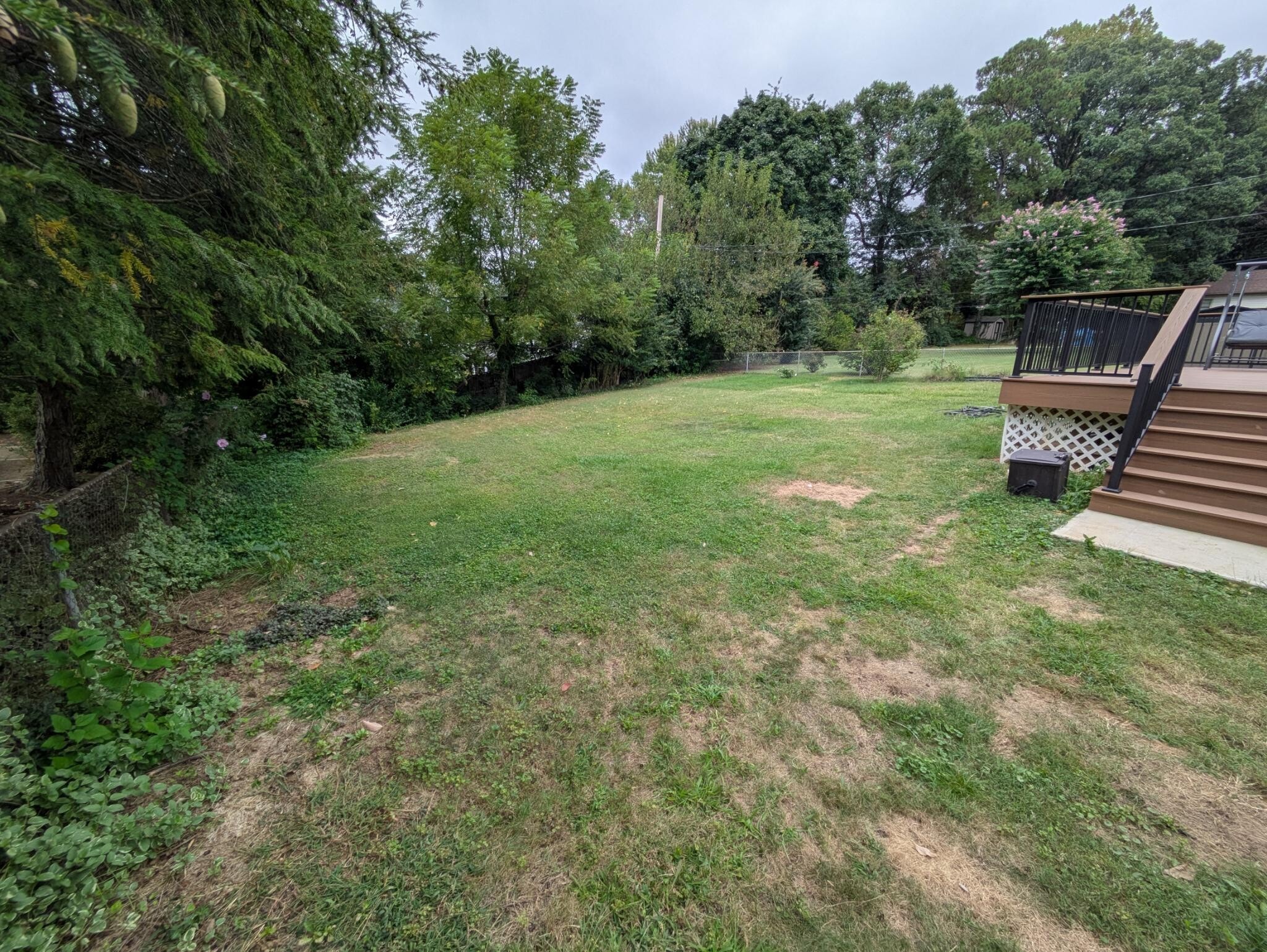 Fenced-in yard - 308 Church Cir