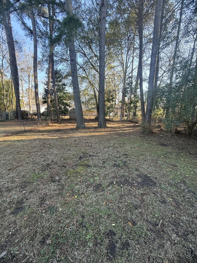 Building Photo - 4149 Shipyard Walk