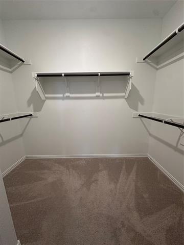 Building Photo - 1513 Van Gogh Dr