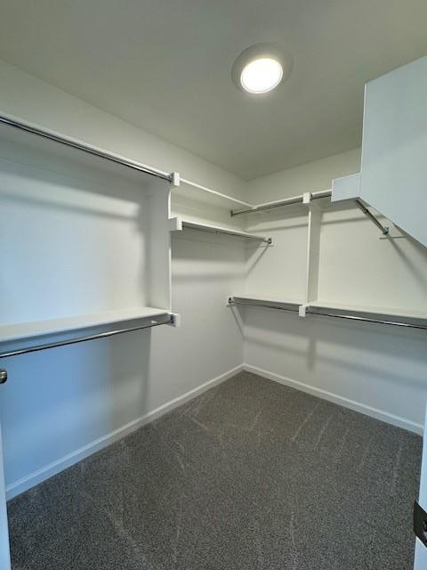 Building Photo - 2804 S Bowling Dr
