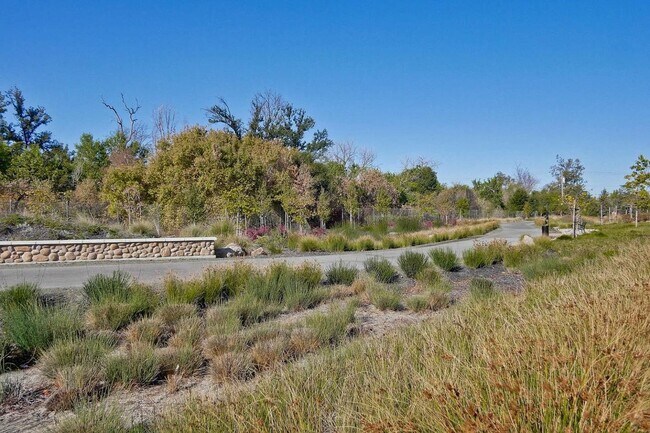 Building Photo - Spacious 4 bedrooms 4.5 bath town home for...