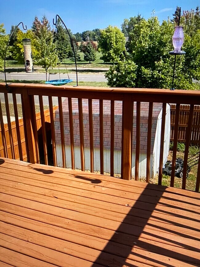 Building Photo - 6609 Black Spruce St