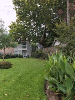 Building Photo - 4200 Watson St