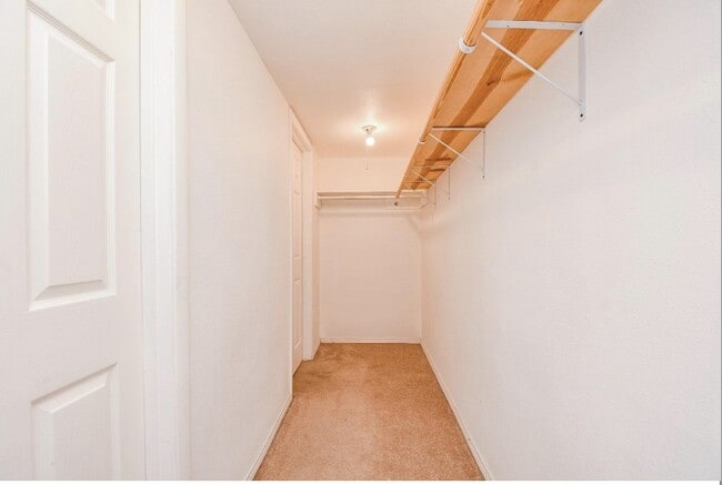 Building Photo - 7233 Beechnut St