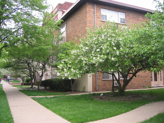 Building and Street - 222 S Oak Park Ave