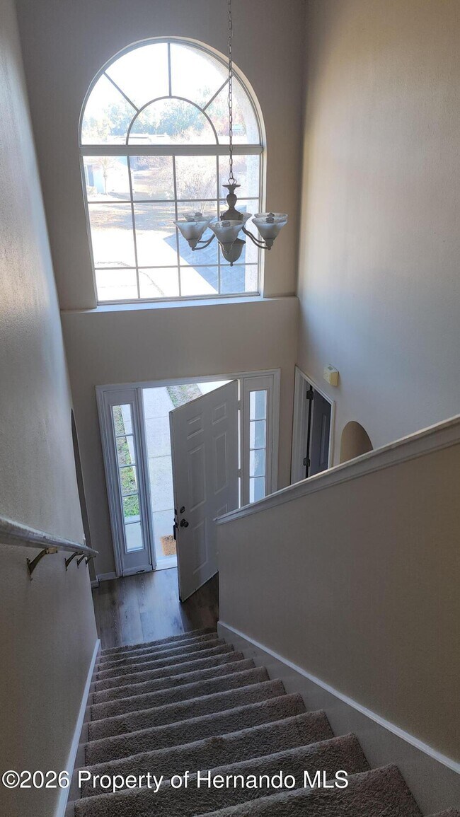 Building Photo - 11228 Roman St