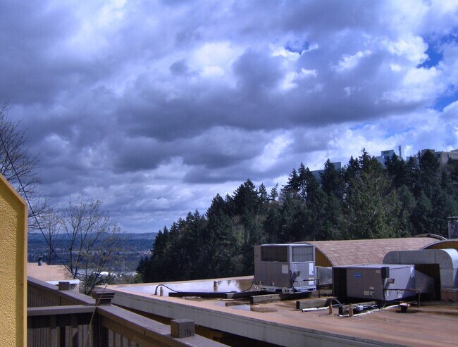 Building Photo - Southwest Portland Condo with views!