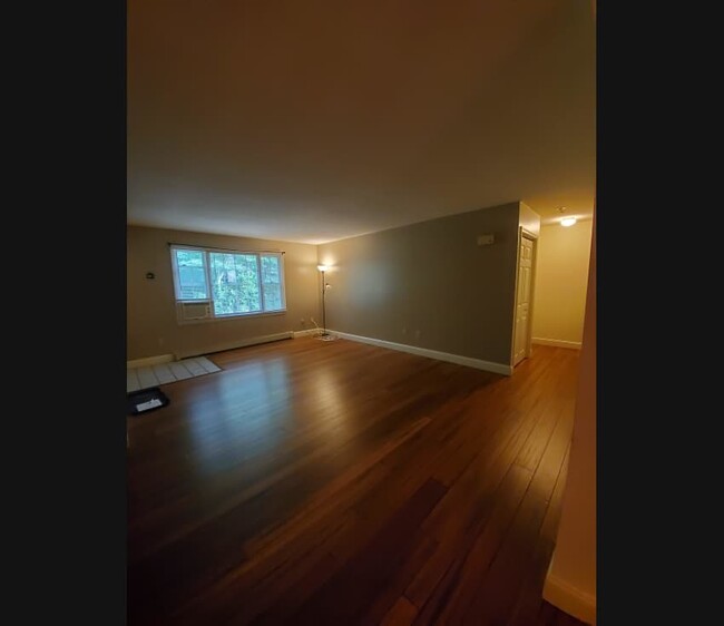 Living room - 812 Springbrook Cir