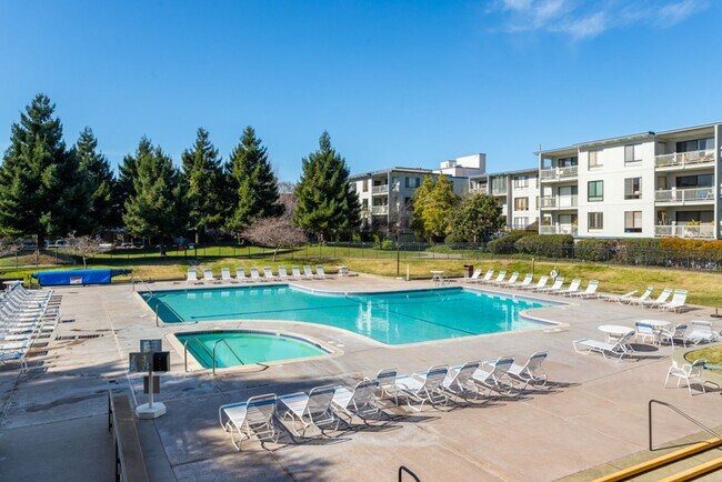 Building Photo - Sunny Studio in Resort Setting on the Bay 15 minutes from SF
