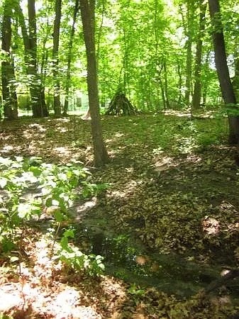 Building Photo - 15845 27th Ave N