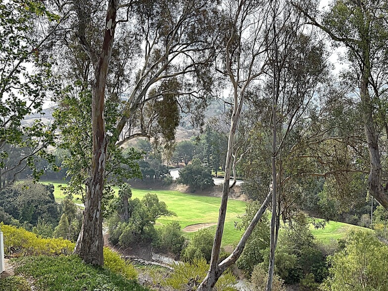 Golf Course view - 545 S Ranch View Cir