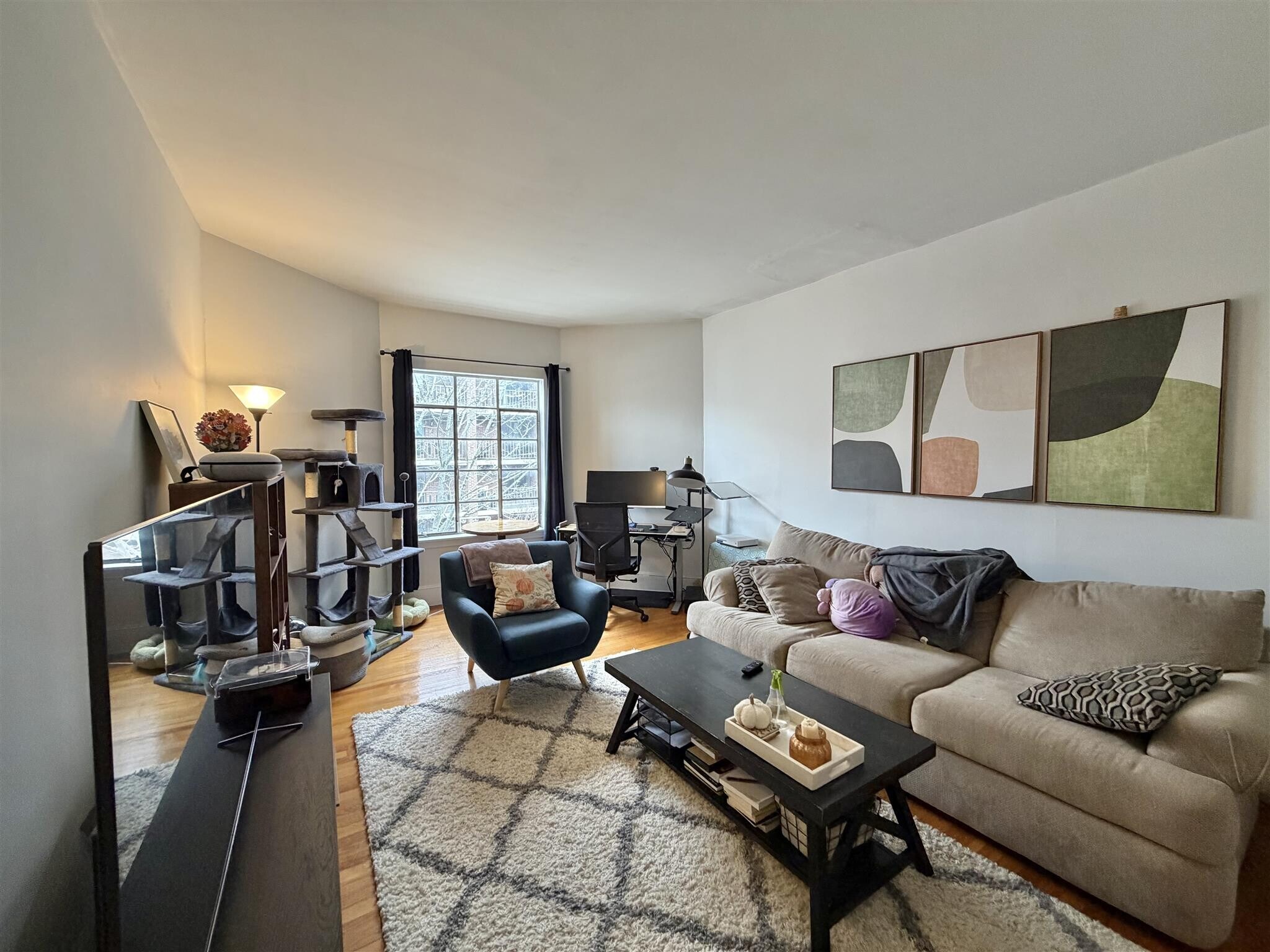 Building Photo - 21 Ellery St