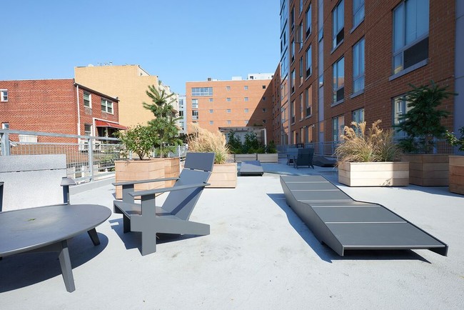 Pet Friendly Apartments In Brooklyn Ny Pet Friendly Apartments In Brooklyn Ny