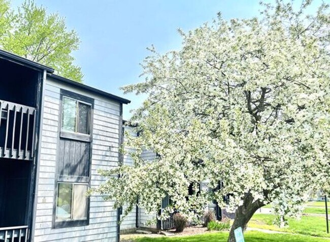 Primary Photo - Sycamore Greens Apartments - Apply Today.