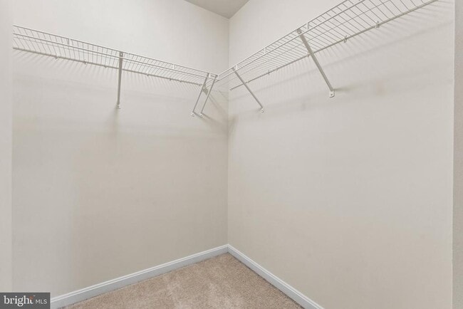 Building Photo - 44321 Ocelot Way