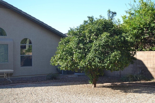 Building Photo - 8240 E Obispo Ave
