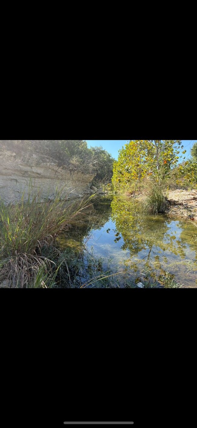 Building Photo - 297 Little River Ln