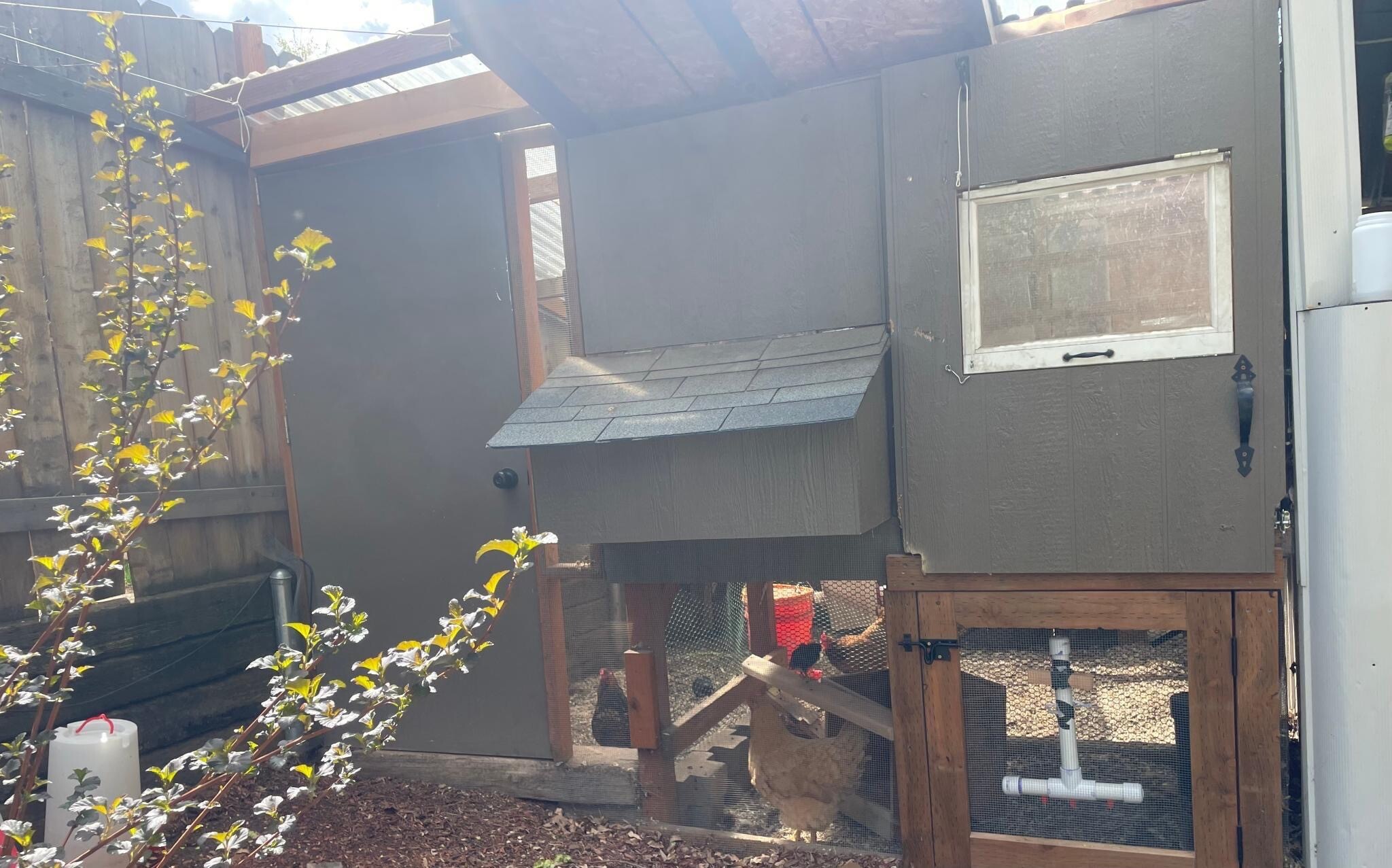 Chicken coop - 1912 N 7th St