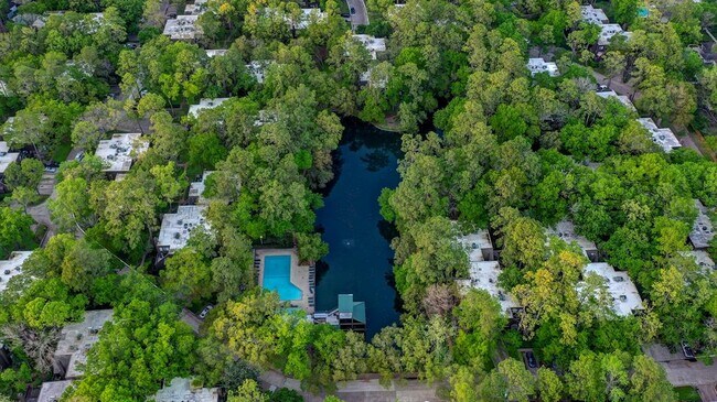 Building Photo - 338 Litchfield Ln