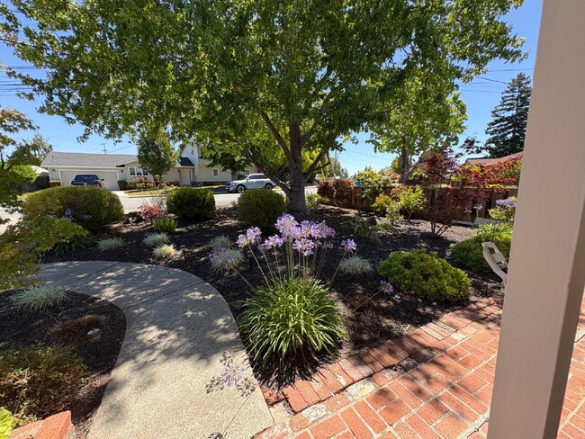 Building Photo - Charming 3 bed, 2 bath with office on San ...