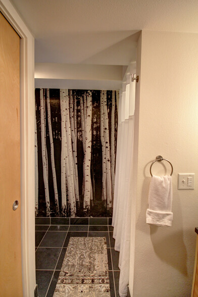 3/4 bath features custom mural - 535 Summit Ave E