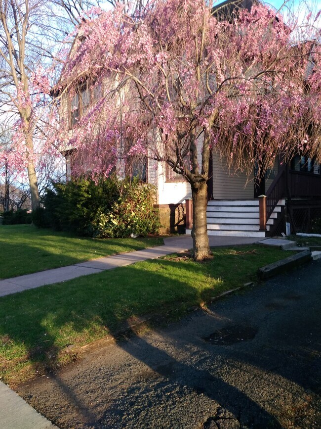 Building Photo - 288 Montgomery St