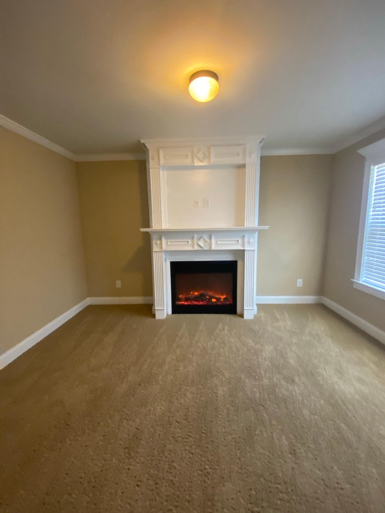 Building Photo - 319 Haywood Dr