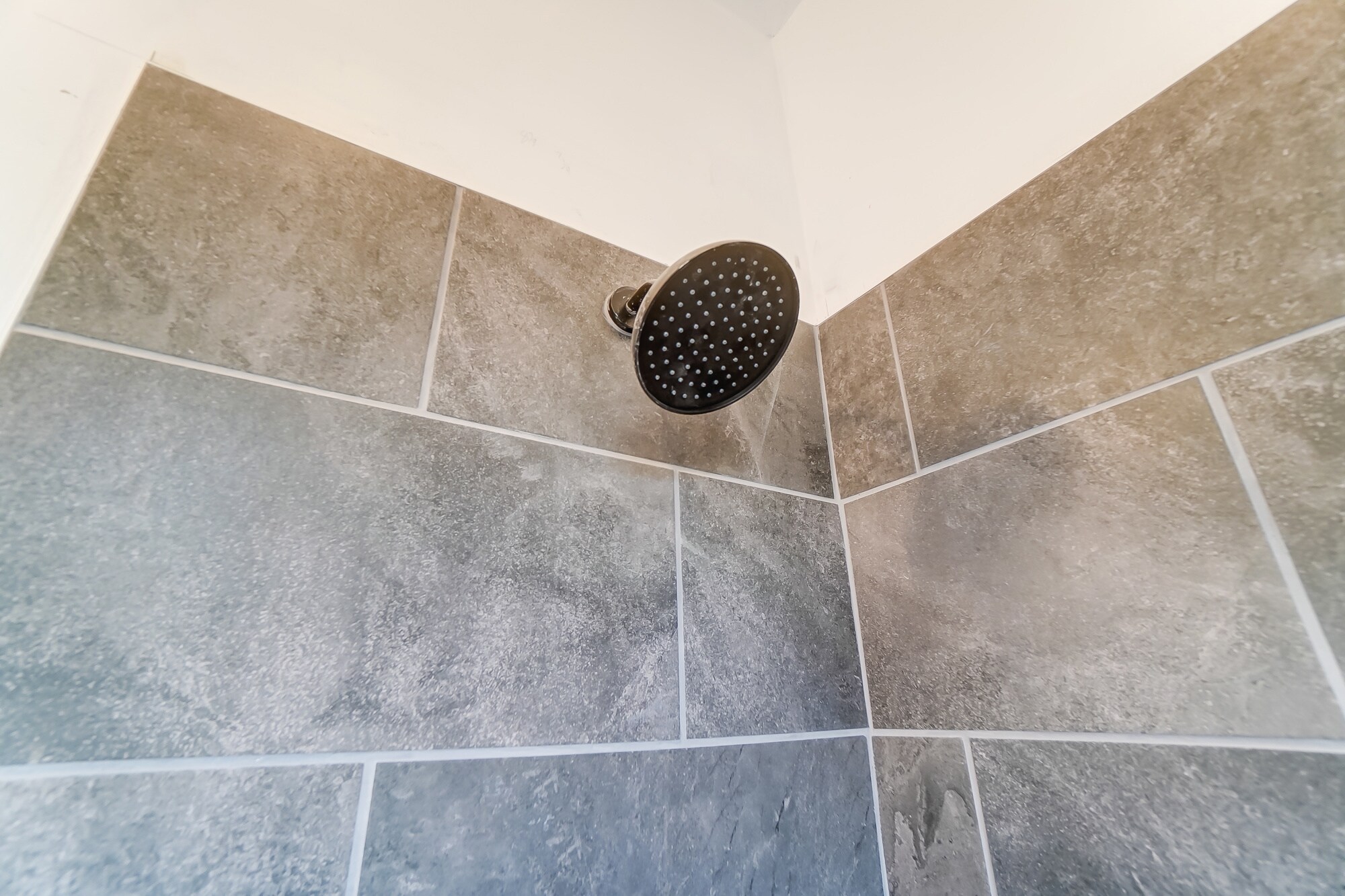 Building Photo - 1768 Williams Ave