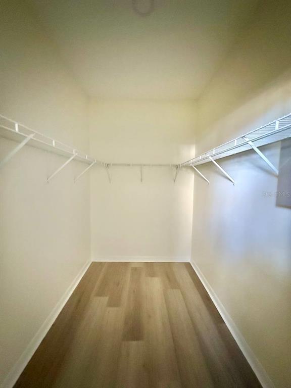 Building Photo - 8530 Alexandra Arbor Ln