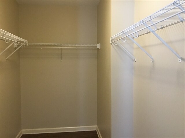 Building Photo - 511 Cypress Cv