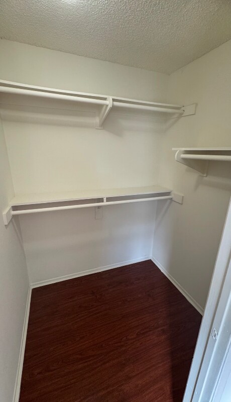 Building Photo - 8623 Cedros Ave