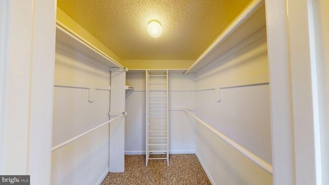 Building Photo - 2806 Clear Shot Dr