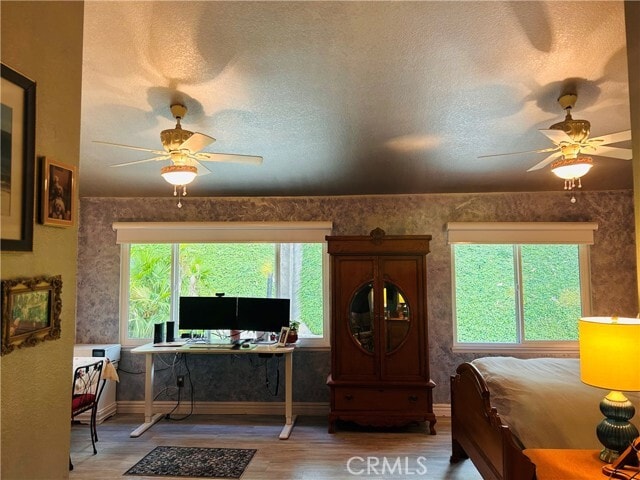 Building Photo - 1908 E Calico Dr