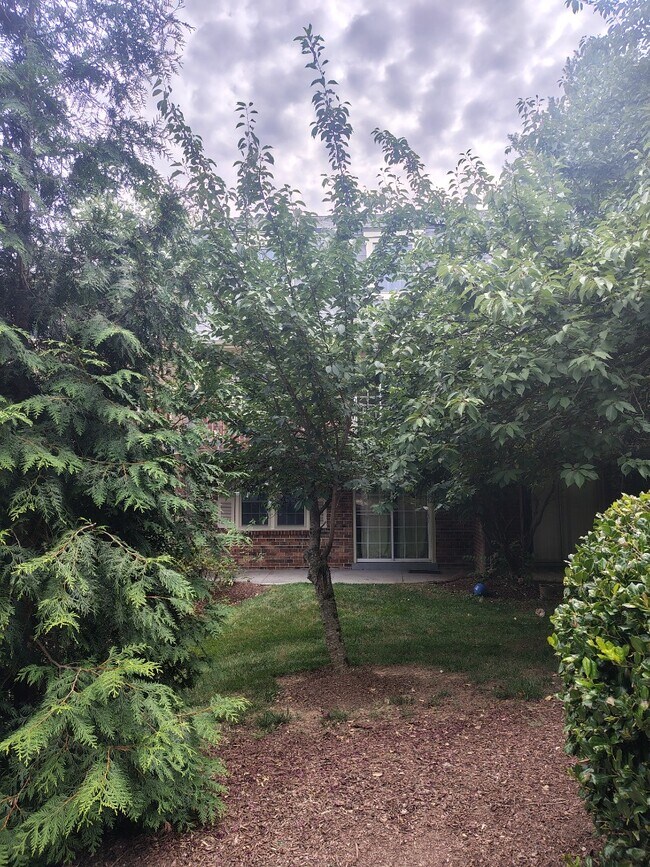 Building Photo - ?? Your Dream Home Awaits! Spacious 4-Bedroom Home