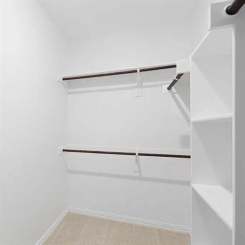 Building Photo - 1226 Banyan Dr