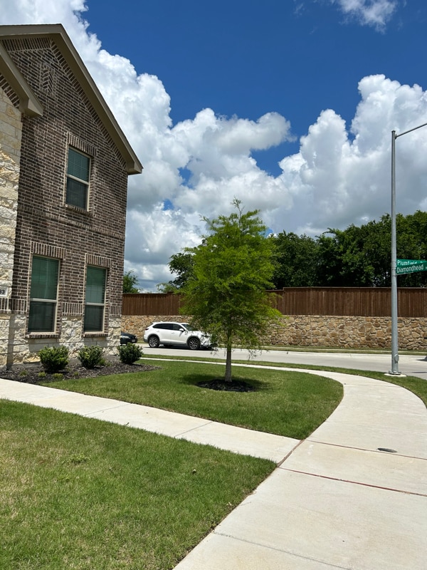 Building Photo - 9933 Diamondhead Dr