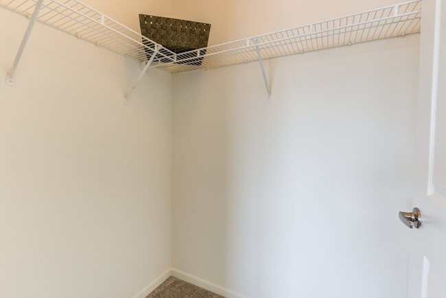 Building Photo - 431 Chopin Ct