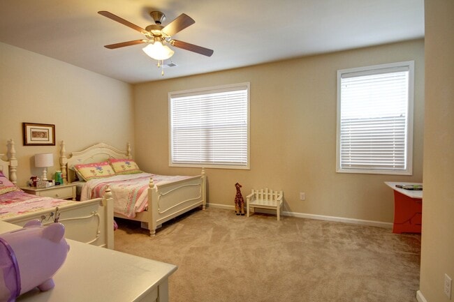 Building Photo - Stunning 4 bedroom in Park West - Mt. Pleasant