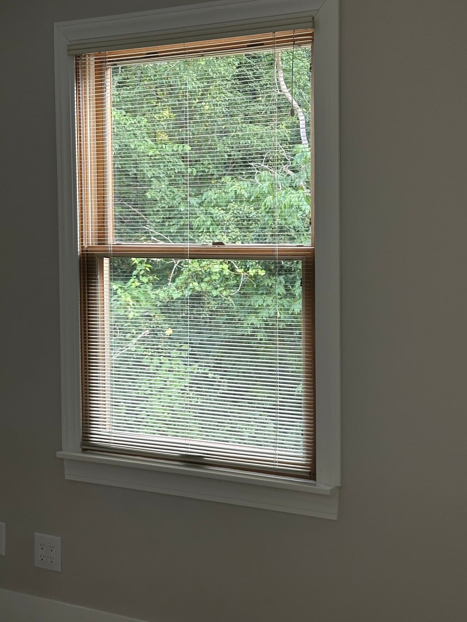 Pella windows have micro mini blinds in all windows. - 2154 Willowgrove Ave