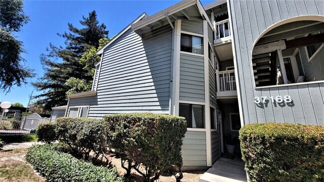Building Photo - 37168 Meadowbrook Common, Unit 105